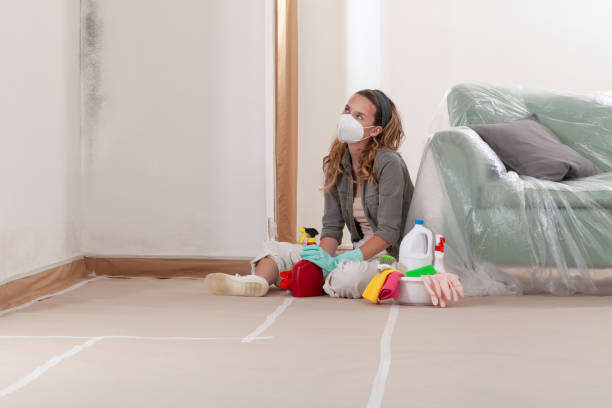 Reliable Mold Remediation contractor in Henderson, NC by Cheap Mold Removal